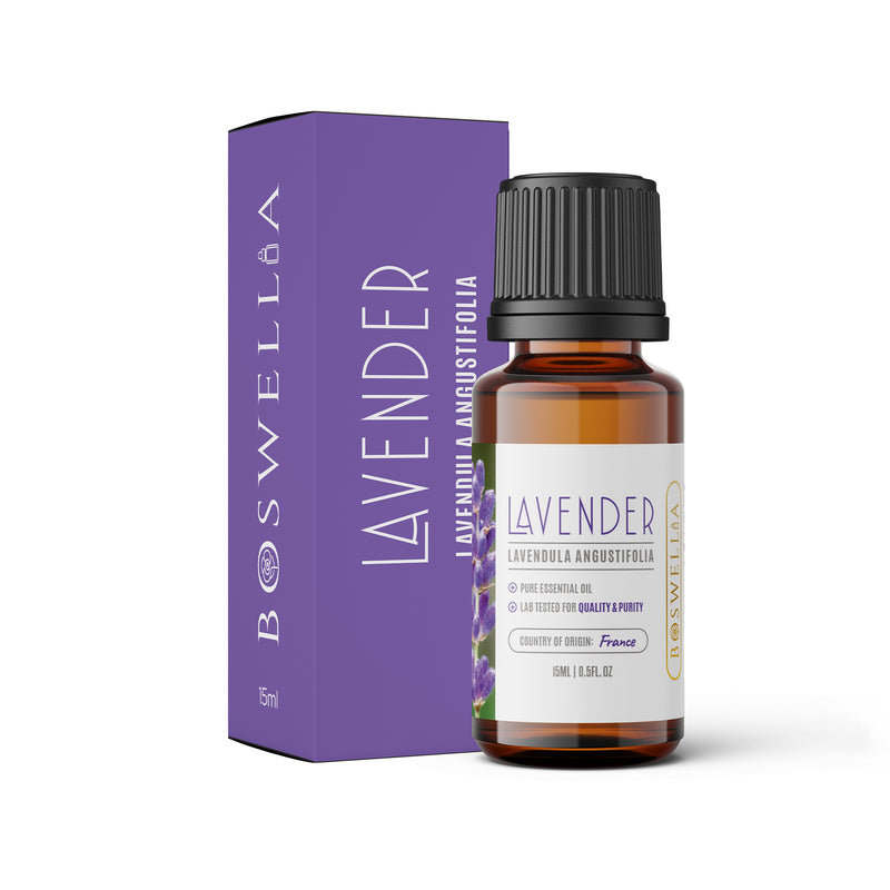 Lavender Essential Oil - Lavandula angustifolia