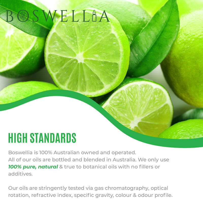 Lime Essential Oil - Cold Pressed - Citrus aurantifolia